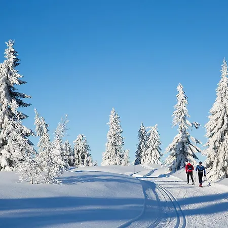 Thon Partner Victoria Hotel 4*