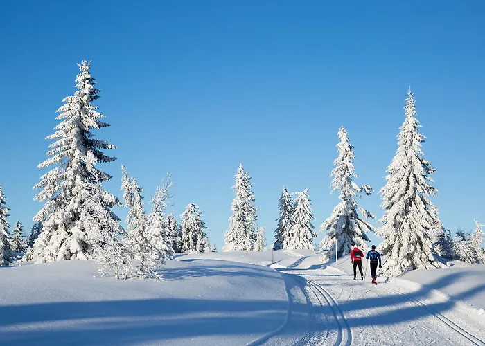 Thon Victoria Отель 4*